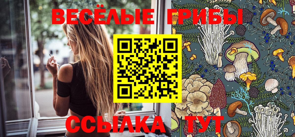 Псилоцибиновые грибы ЛСД  Галлюциногенные грибы GOLDEN TEACHER  Старая Русса 