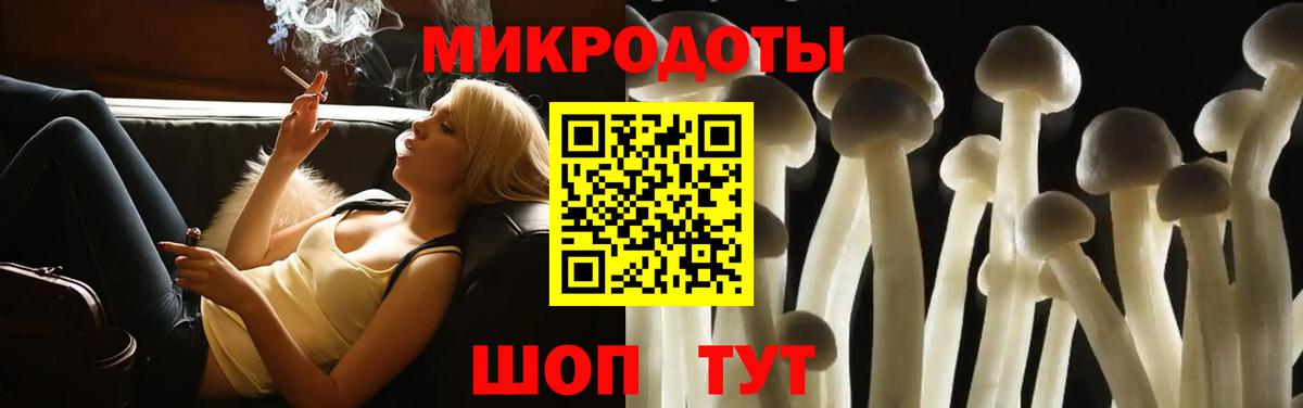 Галлюциногенные грибы Psilocybe Старая Русса